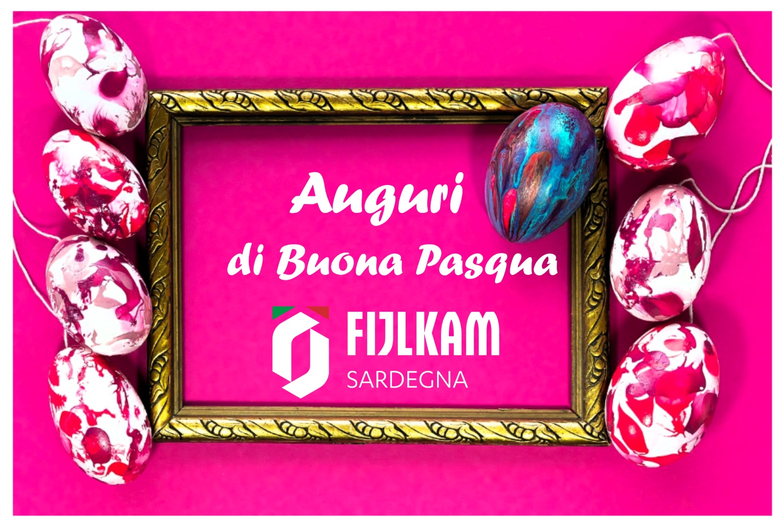 WhatsApp Image 2026 04 02 at 12.44.46