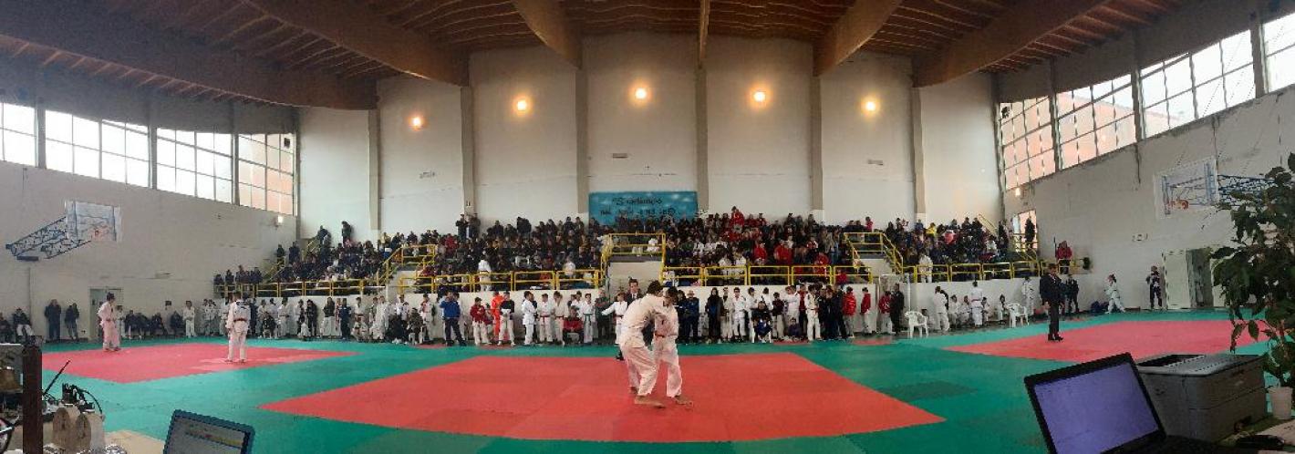 images/sardegna/Settore_Judo/2019/Campionati_Regionali_ISILI/medium/Panoramica_Isili_Regionali_Judo.jpg