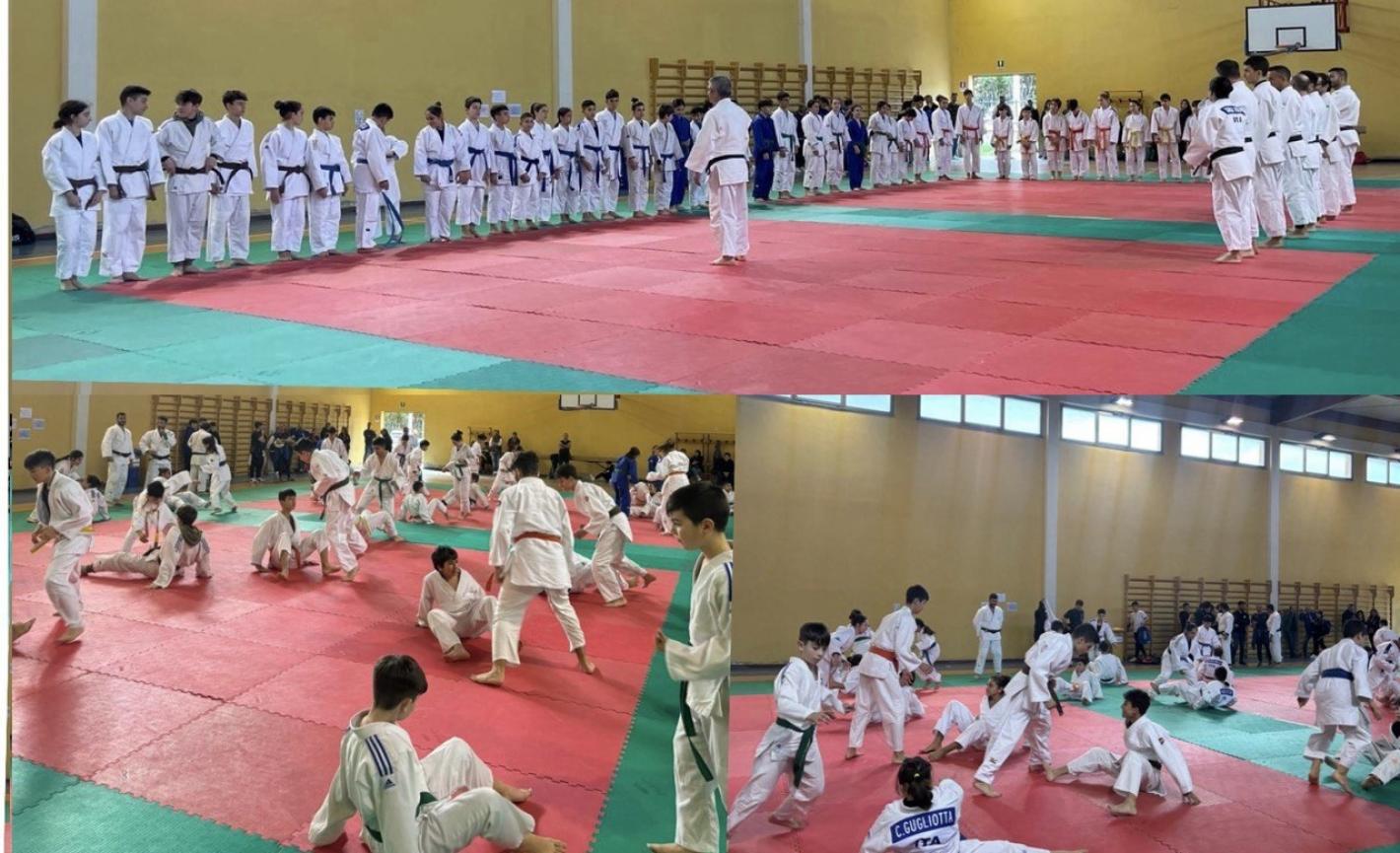 images/sardegna/Settore_Judo/2024/20240328_Allenamento_regionale/medium/Copertina.jpg