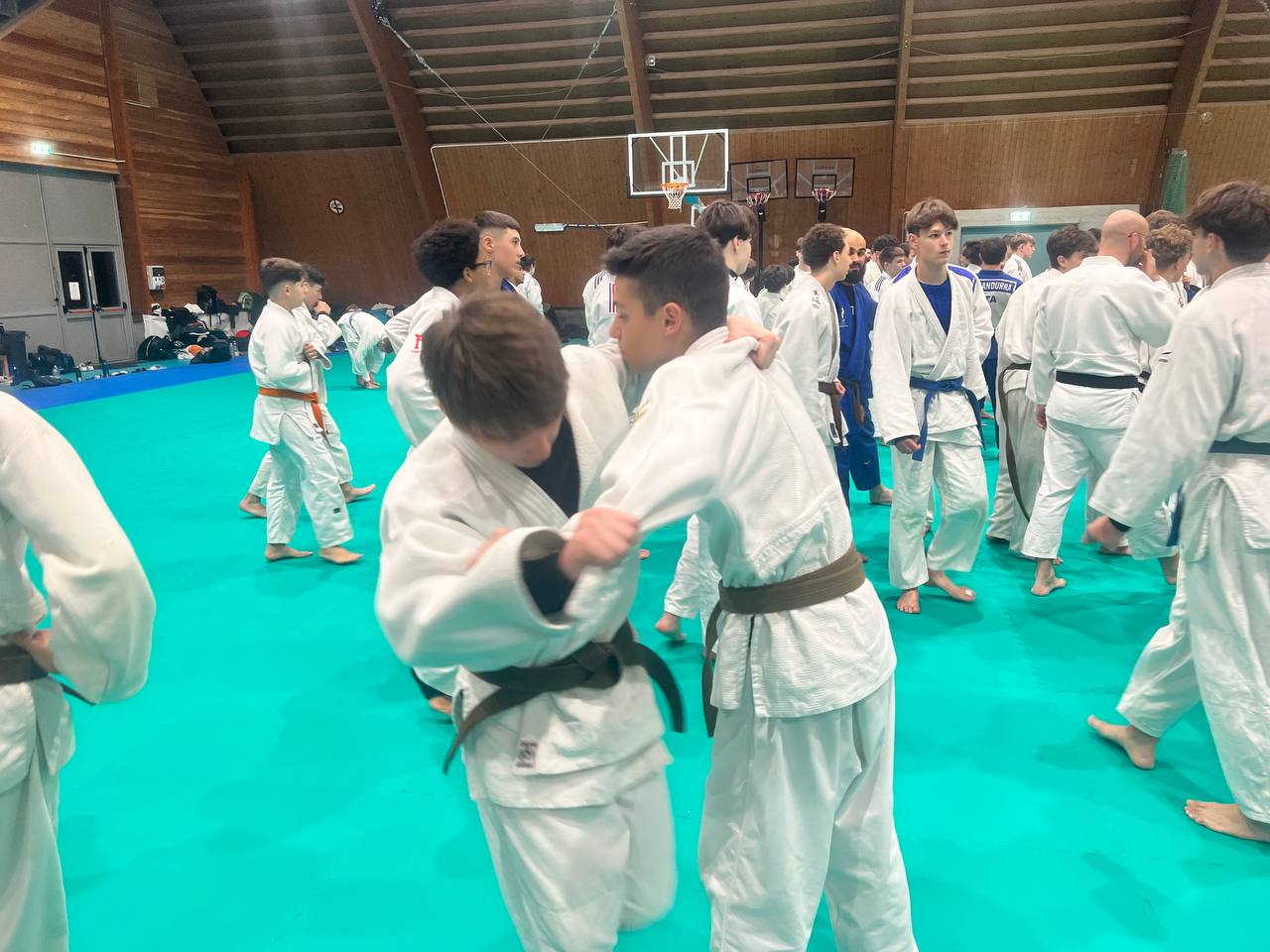 photo 6019485876565951700 y