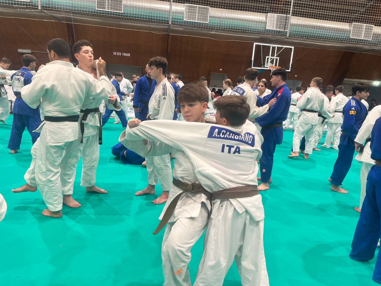 photo 6019485876565951705 y