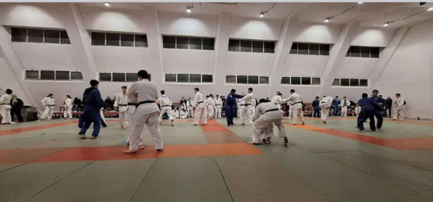 images/sardegna/Settore_Judo/2026/20260112_Allenamento_Gennaio/medium/Immagine_1.png