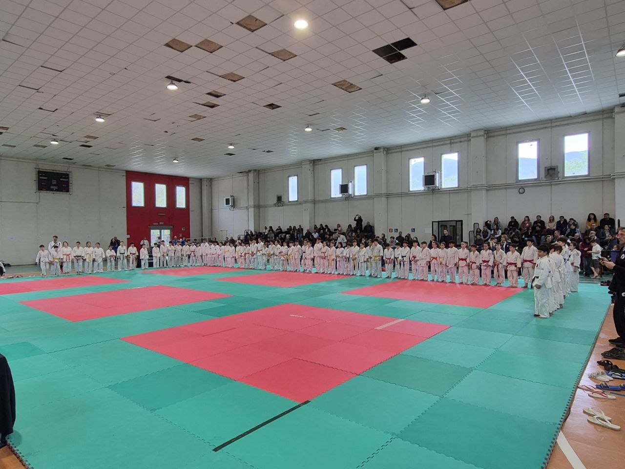 photo 5972210729161002209 y