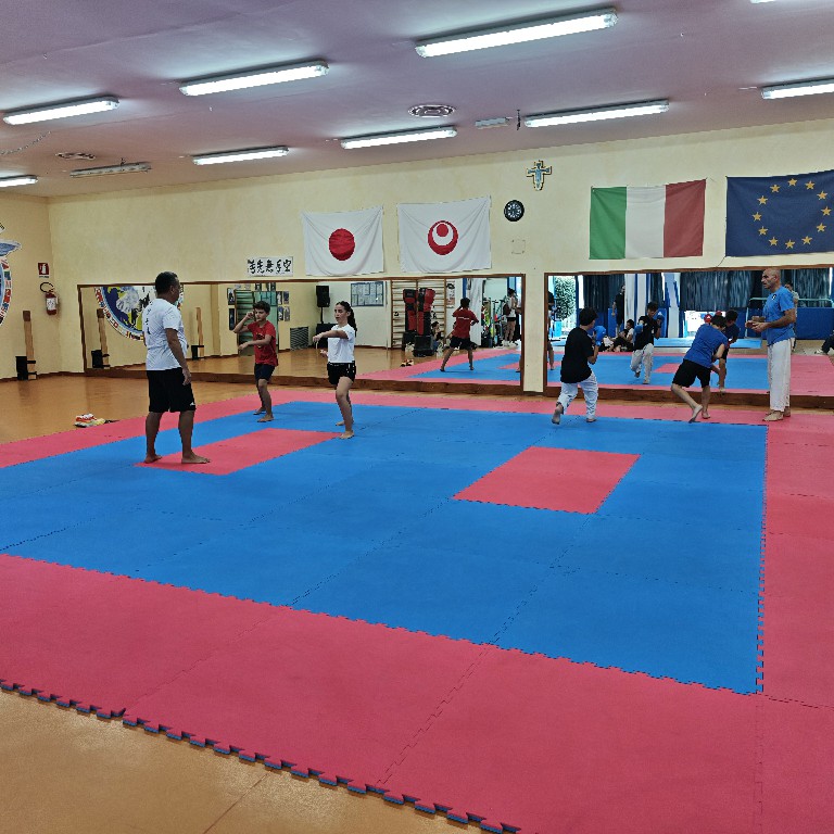 IMG 20260730 1814161